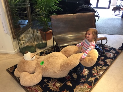 Greta attacking the bear at Good s Furniture2